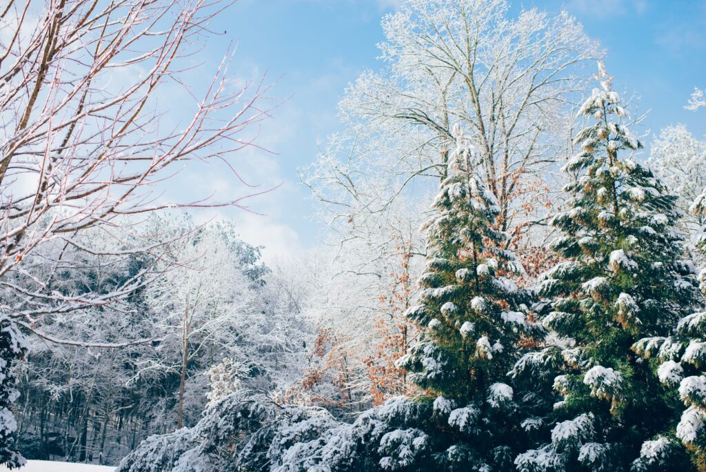 How Do Winter Tires Affect Braking Performance?